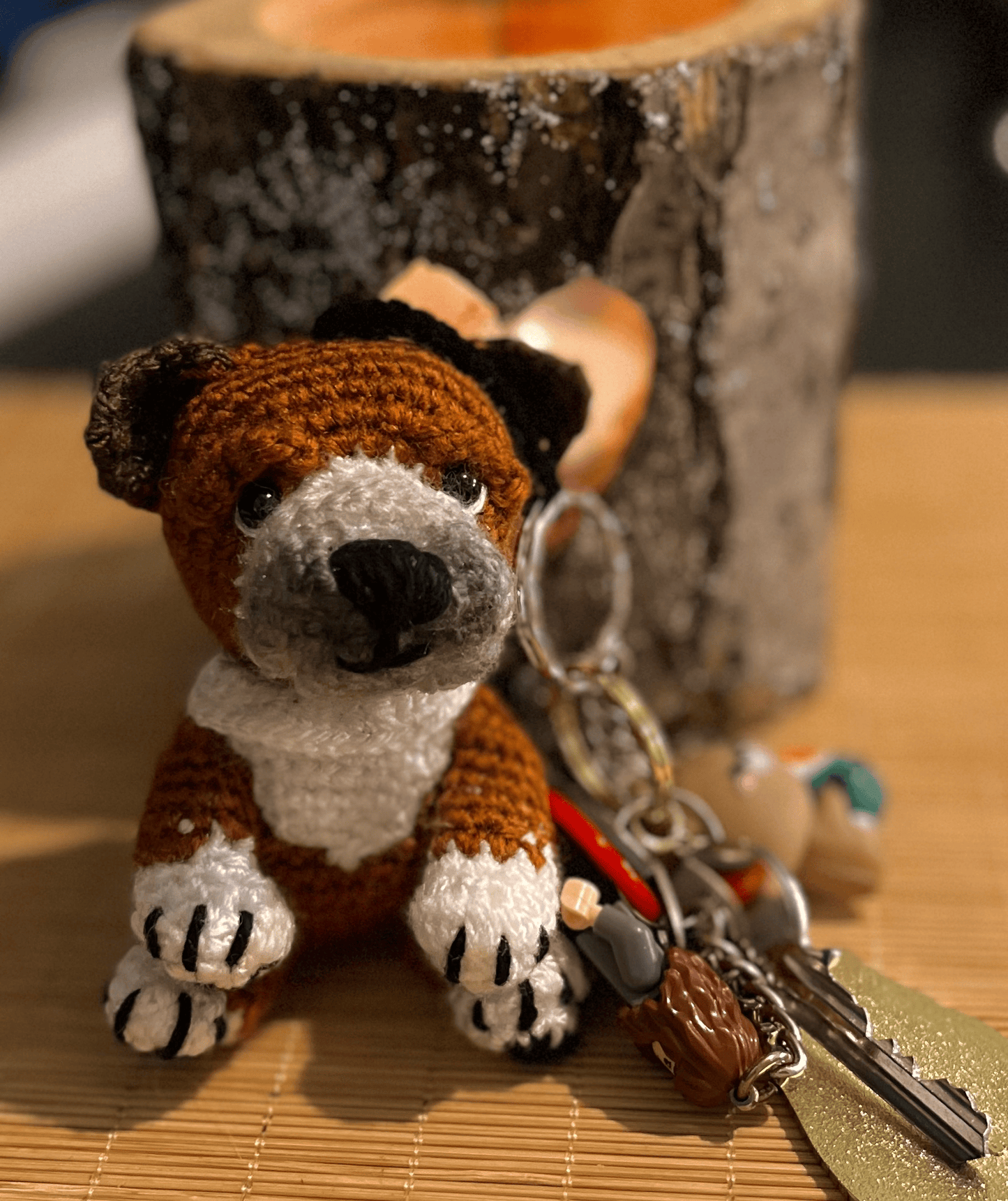 Roma the English Bulldog