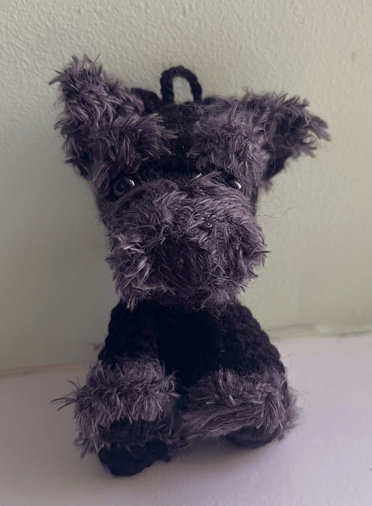 Yoda the Schnauzer