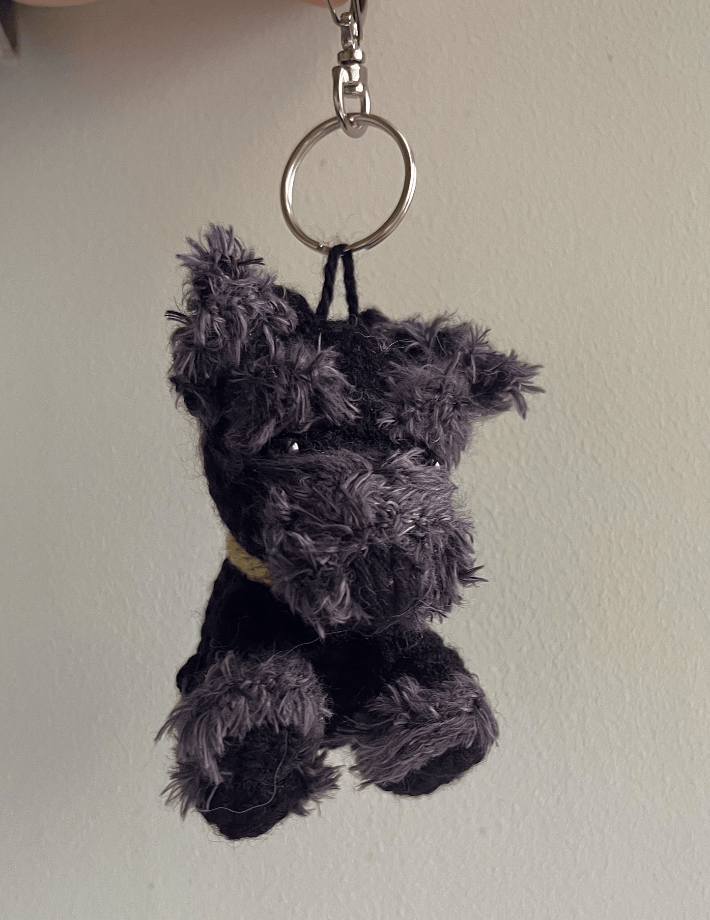Yoda the Schnauzer