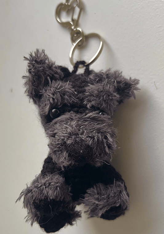 Yoda the Schnauzer