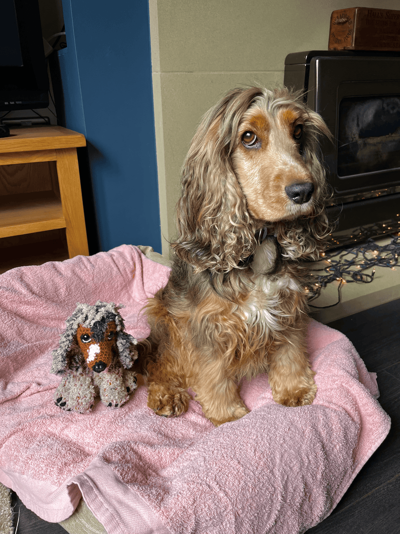 Handmade crochet cocker spaniel commission custom amigurumi dog plush personalised crochet pet keepsake UK