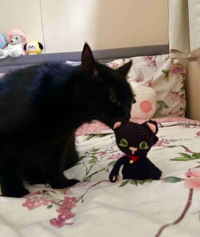 Handmade mini crochet Bombay cat commission custom amigurumi cat plush personalised crochet pet keepsake UK