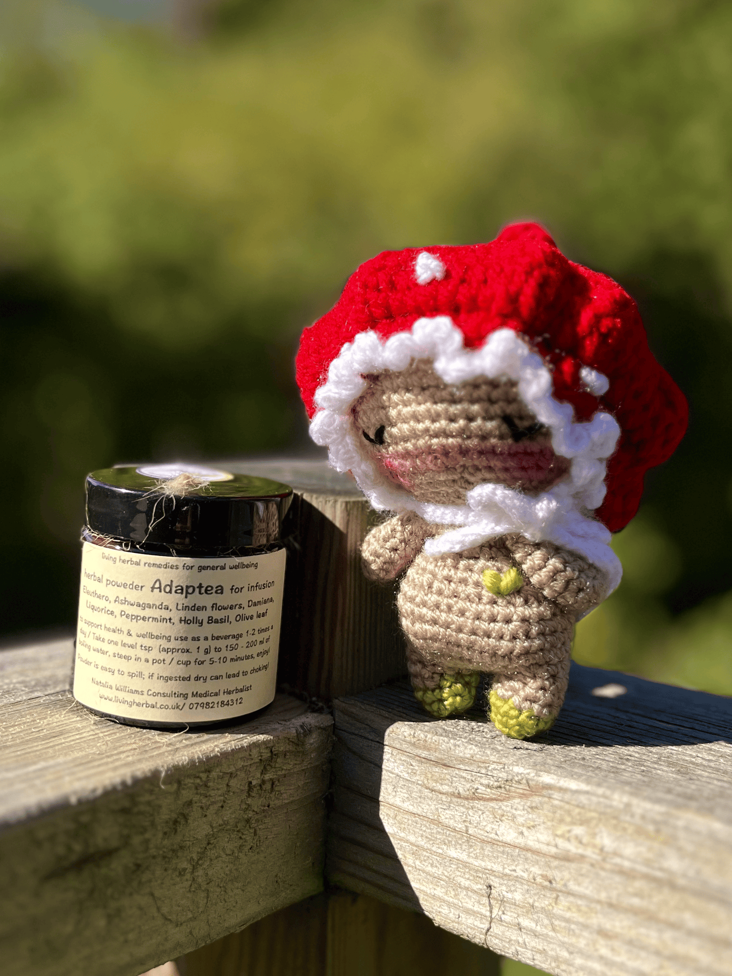 Agaricus crochet mushroom companion paired with Adaptea herbal powder