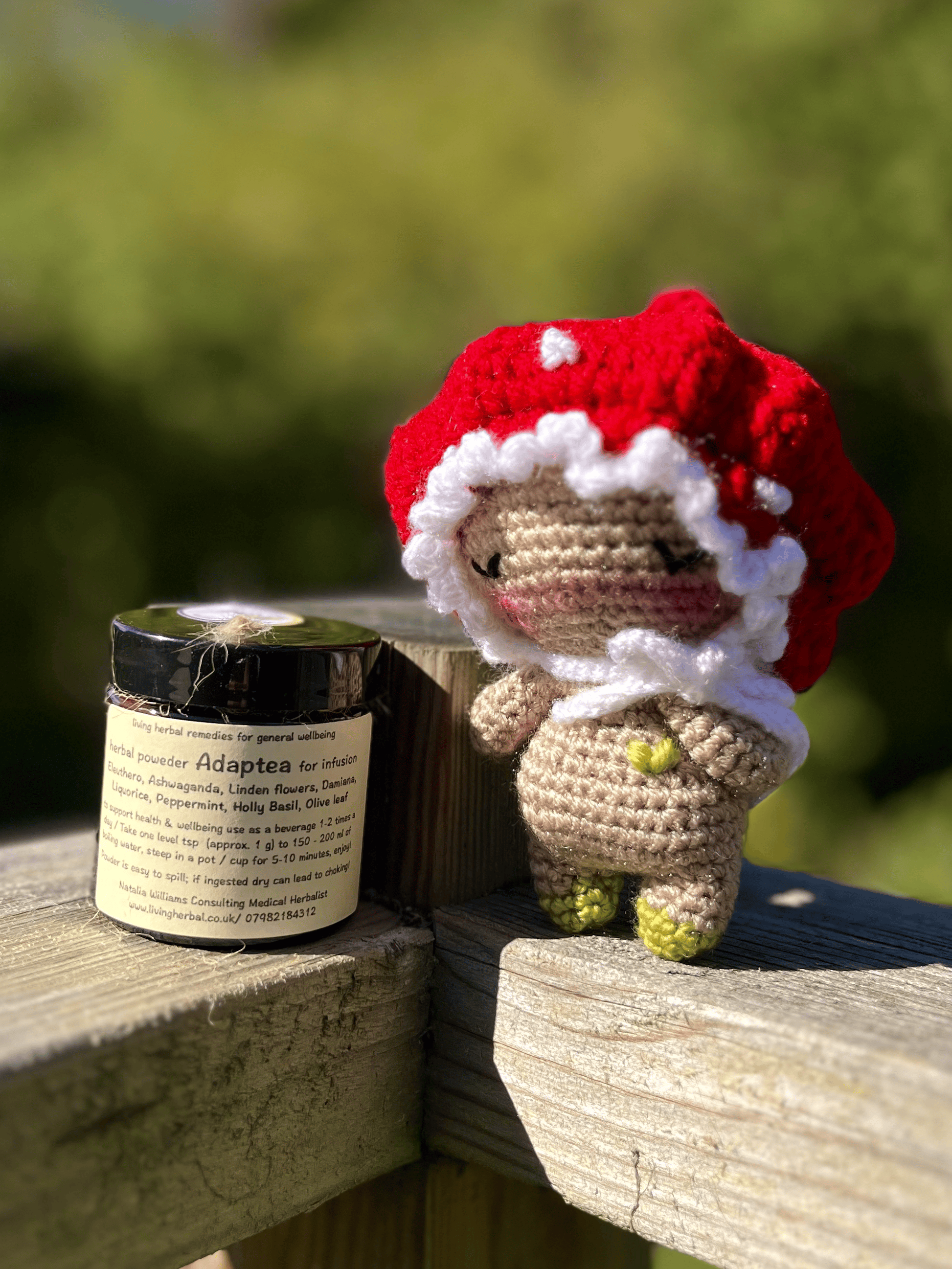 Agaricus crochet mushroom companion paired with Adaptea herbal powder