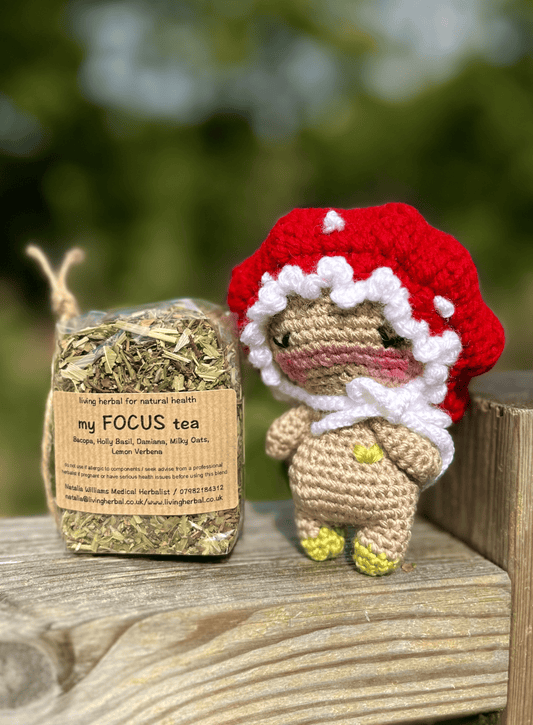 Crochet mushroom companion paired with Focus loose leaf herbal tea gift set