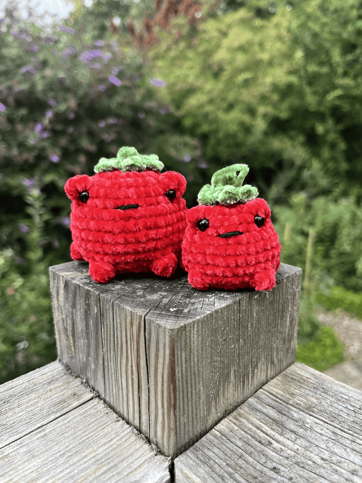 Red Toadmato handmade crochet tomato toad plushie in soft chenille yarn