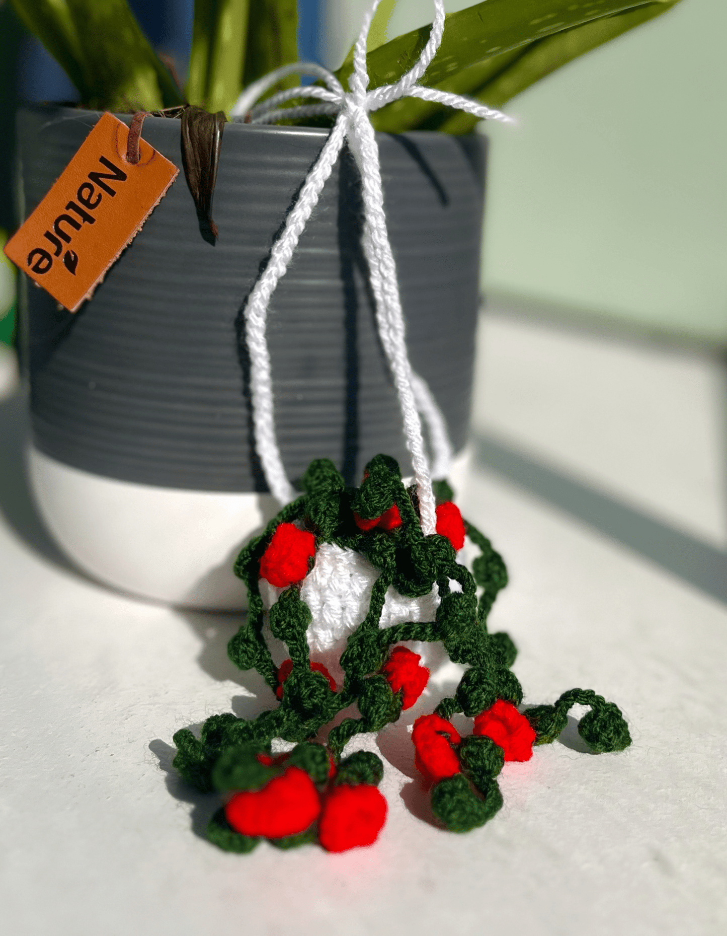 Handmade Crochet Flower Hanging Basket Rose and Mandevilla Crochet Home Decor Mother's Day Gift for Mum Cottagecore Decoration UK